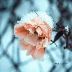 Midwinter
