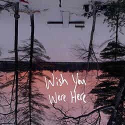Wish You Were Here
