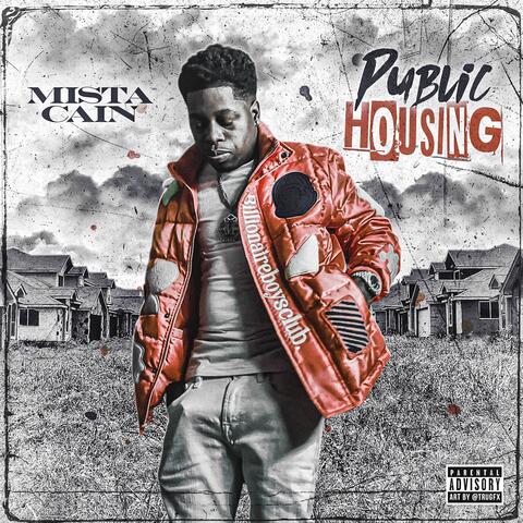 Public Housing