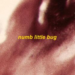 numb little bug - sped up