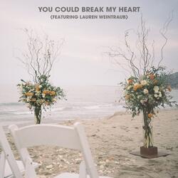 You Could Break My Heart (feat. Lauren Weintraub)