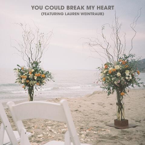 You Could Break My Heart (feat. Lauren Weintraub)