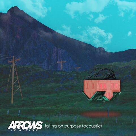 Failing on Purpose (Acoustic)