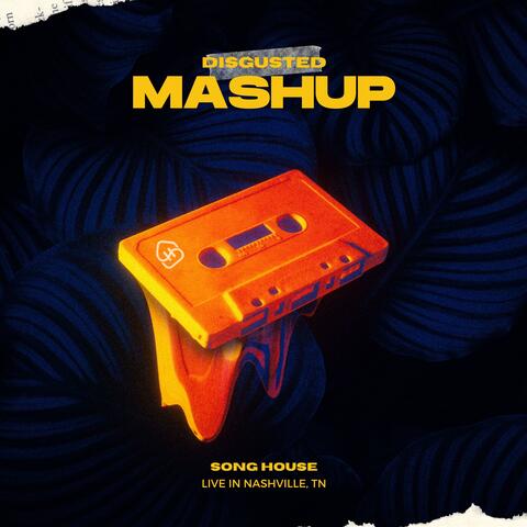 Disgusted Mashup (Live)