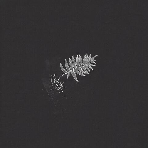 Solace