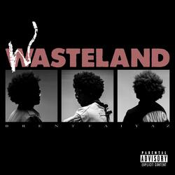 WASTING TIME (FEAT. DRAKE & THE NEPTUNES)