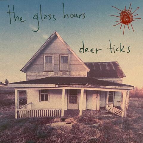 deer ticks