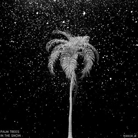 Palm Trees In The Snow