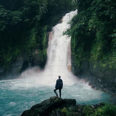 Into The Wild