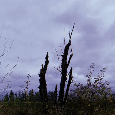 November