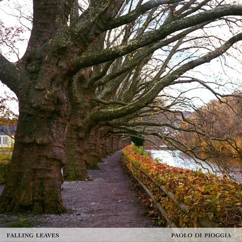 Falling Leaves