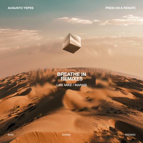 Breathe In Remixes