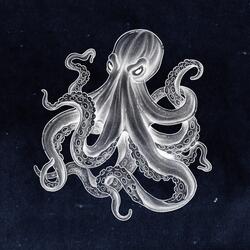 Kraken