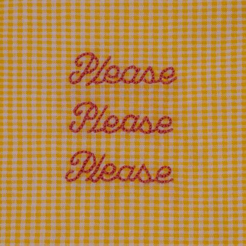 Please Please Please