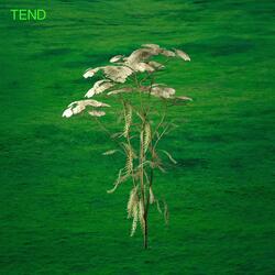 Tend