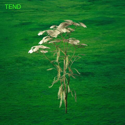 Tend