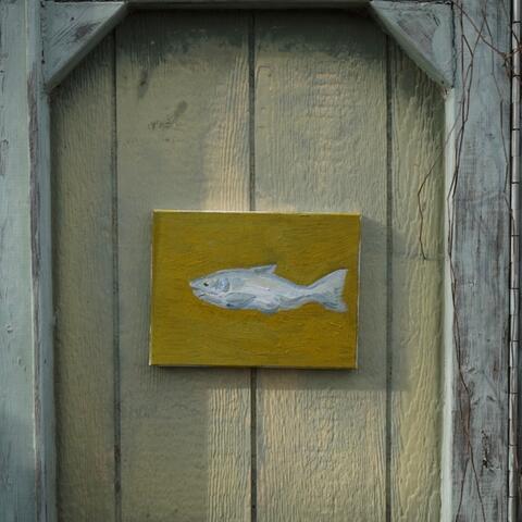 Silver Fish