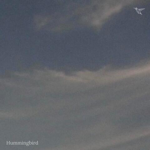 Hummingbird