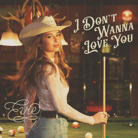 I Don't Wanna Love You