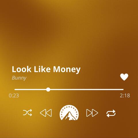 Look Like Money