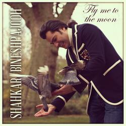 Fly Me to the Moon