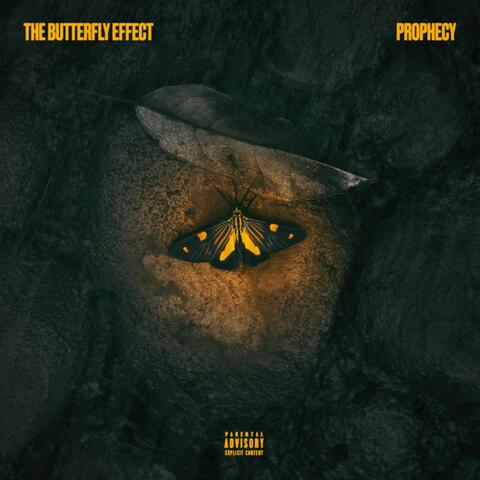 The Butterfly Effect