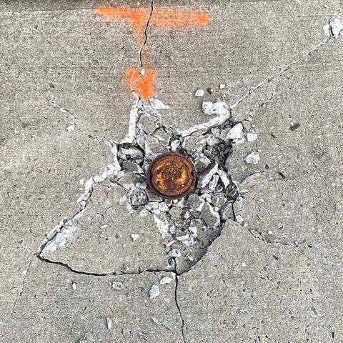 It's A Vicious Cycle