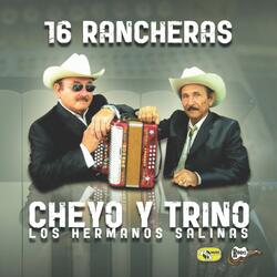 Corrido De Beto Robles