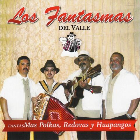 Mas Polkas Redovas y Huapangos