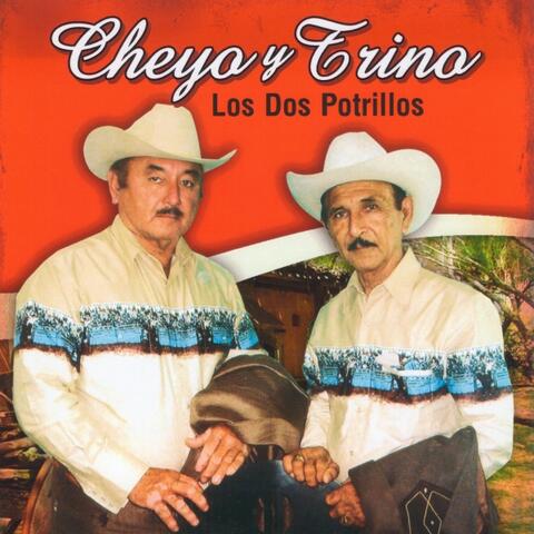 Los Dos Potrillos