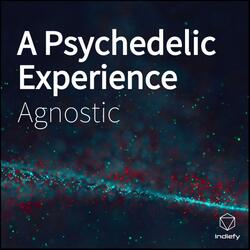 A Psychedelic Experience
