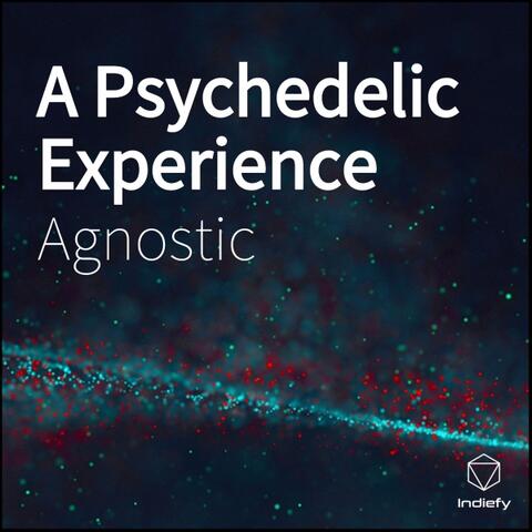 A Psychedelic Experience