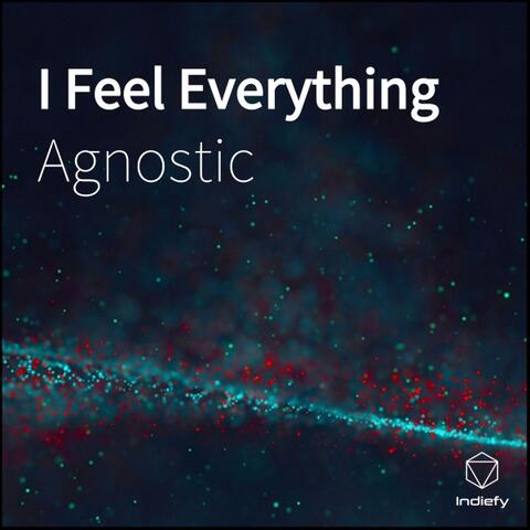 I Feel Everything