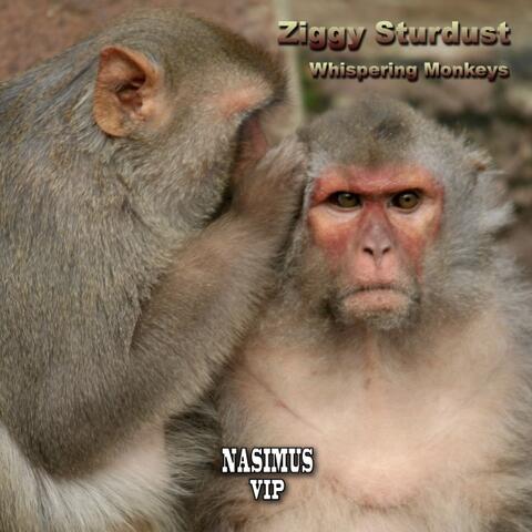 Whispering Monkeys