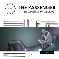 Irreversible Problems