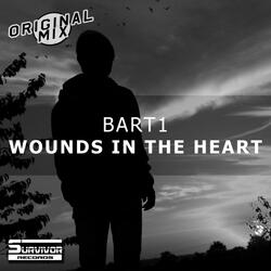 Wounds In The Heart