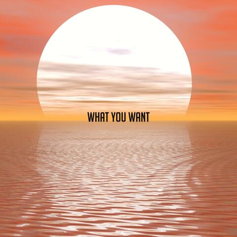 What You Want