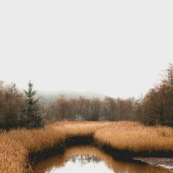 Relaxation