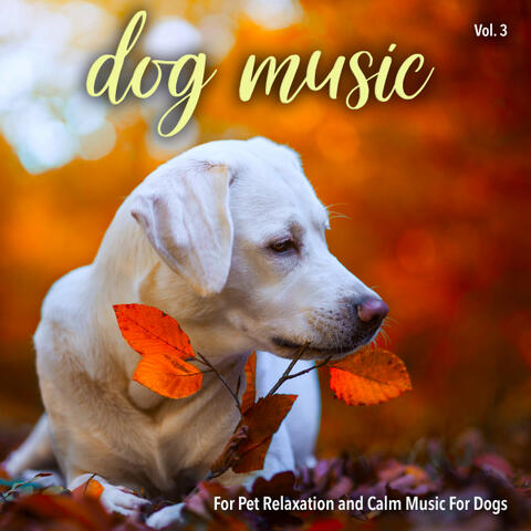 Dog Music For Pet Relaxation and Calm Music For Dogs, Vol. 3