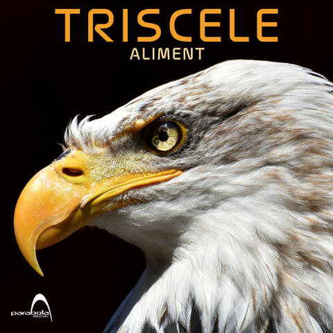 Aliment