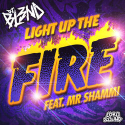 Light Up The Fire (feat. Mr. Shammi)