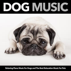 Calm Music For Your Dog