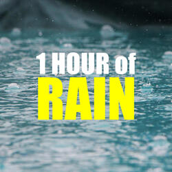 Relaxing Music and Rain