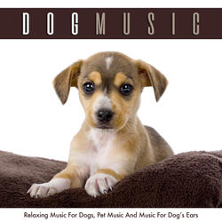 Dog Music For Relaxation
