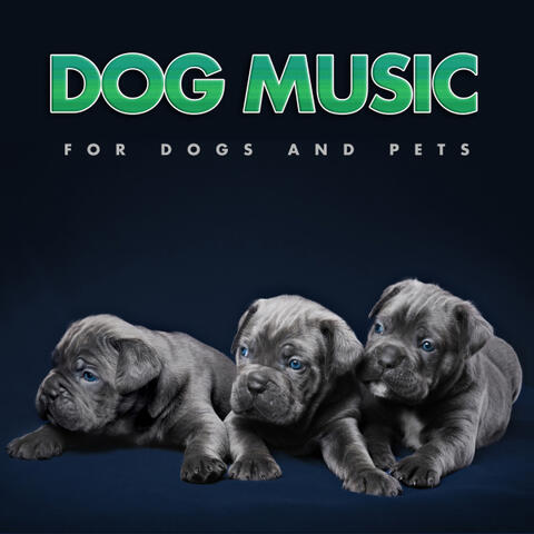 Dog Music & Dog Music Library & Dog Music Experience