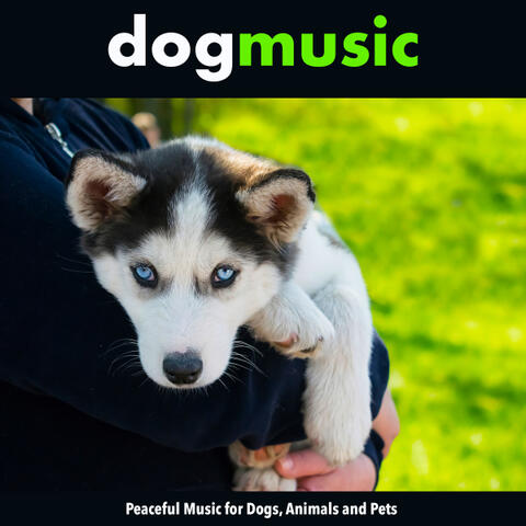 Dog Music: Peaceful Music for Dogs, Animals and Pets