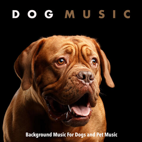Dog Music: Background Music For Dogs and Pet Music