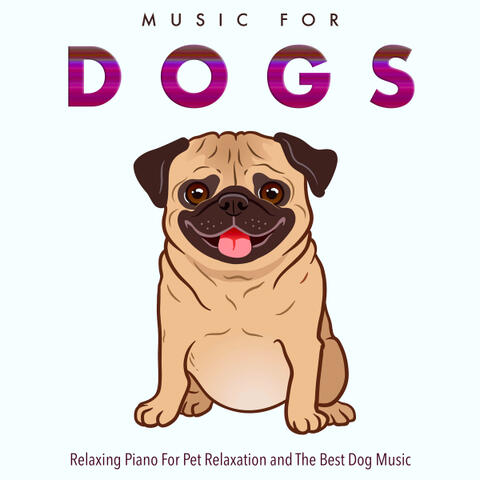 Music For Dogs: Relaxing Piano For Pet Relaxation and The Best Dog Music