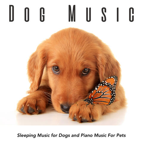 Dog Music: Sleeping Music for Dogs and Piano Music For Pets