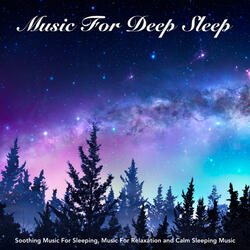 Sleep Music